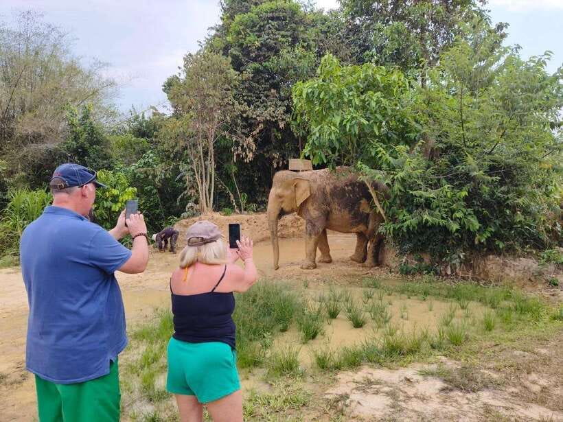 From Siem Reap: Elephant Sanctuary Experience with Transfers - The one-hour ride from Siem Reap
