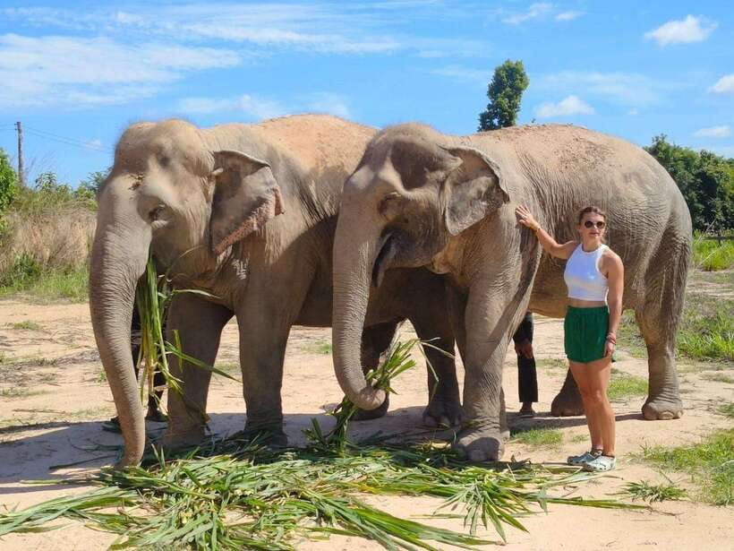 From Siem Reap: Elephant Sanctuary Experience with Transfers - Making rice balls and other elephant food
