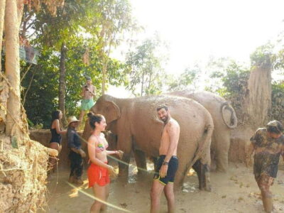 Elephant Sanctuary Experience with Transfers