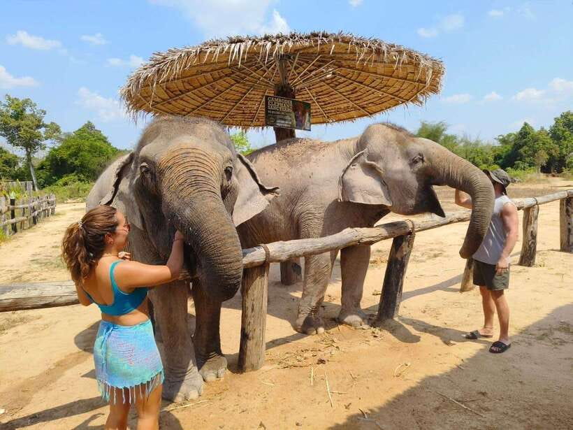 From Siem Reap: Elephant Sanctuary Experience with Transfers - The mud bath: playful, messy, and optional
