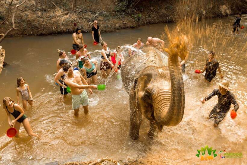 From Siem Reap: Elephant Sanctuary Experience with Transfers - Washing elephants in the river