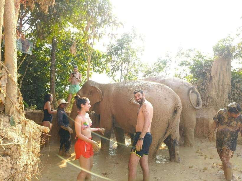 From Siem Reap: Elephant Sanctuary Experience with Transfers - A careful introduction before meeting the elephants