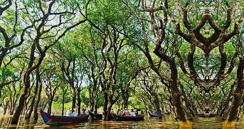 From Siem Reap: Floating Village Tour by Boat - Who should book this boat tour?