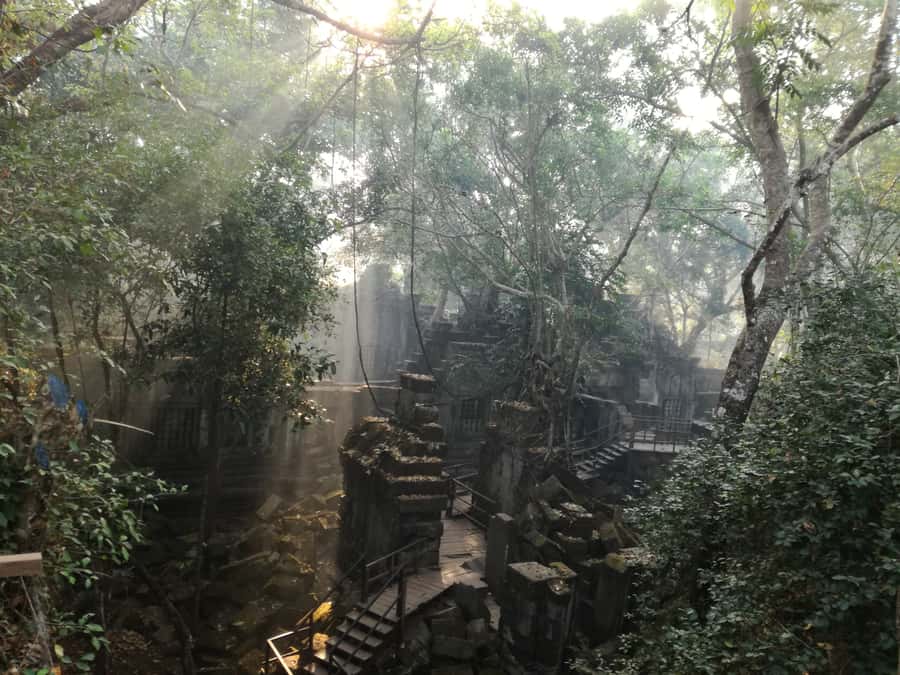 From Siem Reap: Half-Day Tour to Beng Mealea Temple - Entering Beng Mealea Through Stone and Vegetation