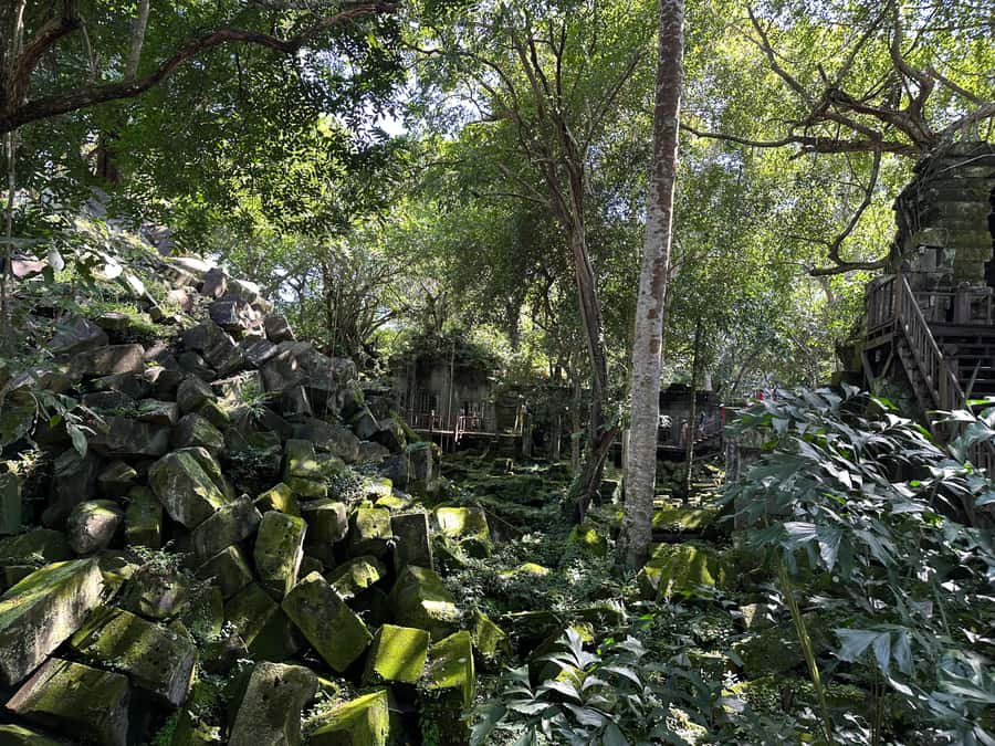 From Siem Reap: Half-Day Tour to Beng Mealea Temple - Morning at 7:00 AM or Afternoon at 2:00 PM