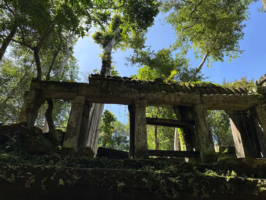 From Siem Reap: Half-Day Tour to Beng Mealea Temple - My Verdict on the Four-Hour Beng Mealea Trip