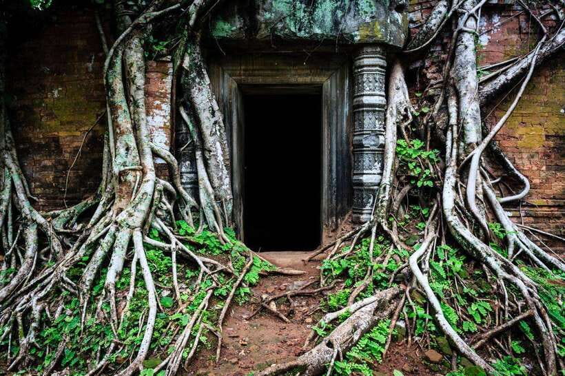 From Siem Reap: Koh Ker and Beng Mealea Temples Tour - The guide can make or break the experience