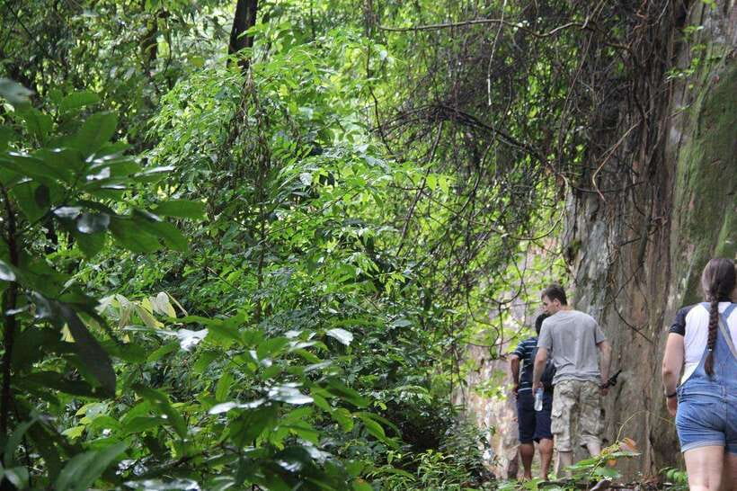 From Siem Reap: Phnom Kulen National Park Trekking Tour - Guide Quality and Group Size