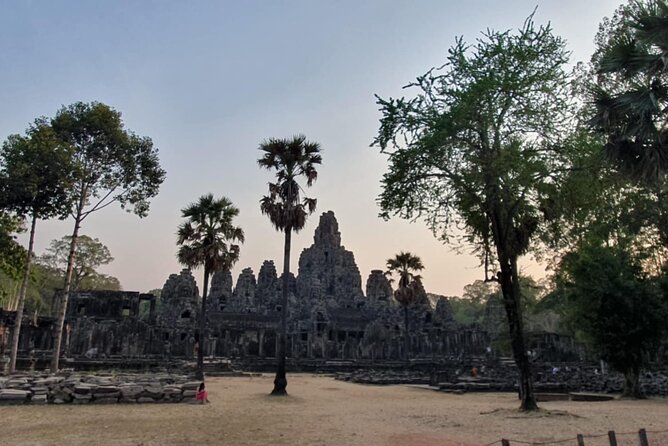 Full Day Angkor Wat Temples Tour with Pickup - Ta Prohm, where nature takes the stage