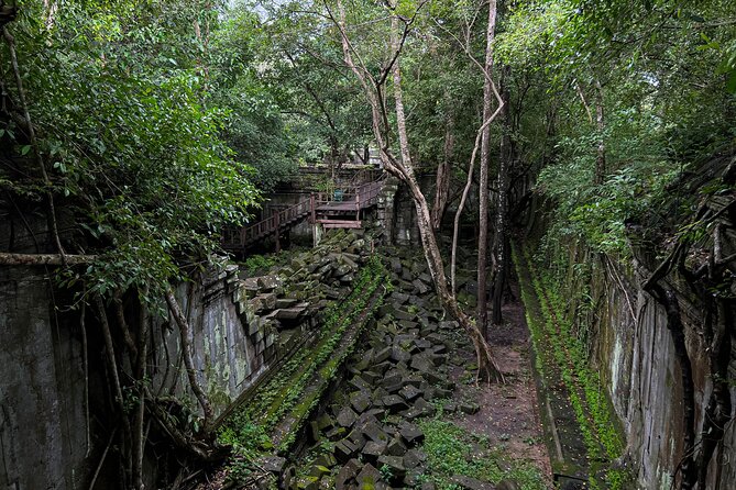 Full Day Banteay Srei Beng Mealea and Koh Ker Small Group Tour - Beng Mealea brings the jungle into the temple