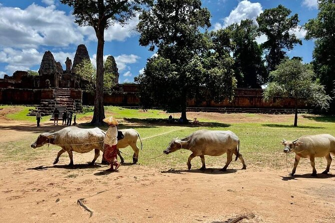 Full-Day 'Big Tour' with Sunset at Phnom Bakheng - Preah Khan rewards careful exploration