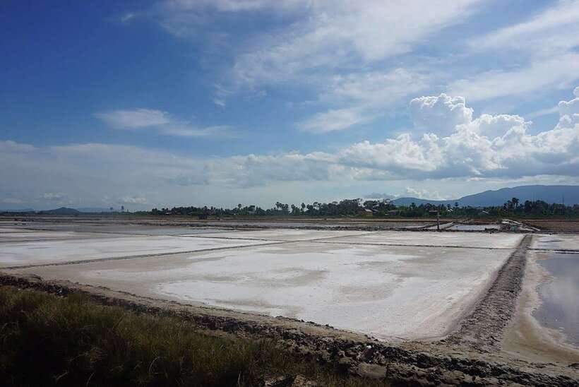 FULL DAY - Countryside Tuk-Tuk Pepper Tour + Kep - La Plantation explains why Kampot pepper matters