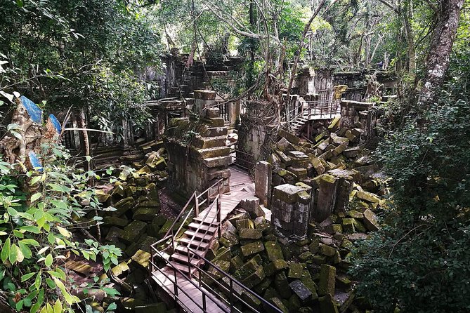 Full-Day Preah Vihear, Koh Ker and Beng Mealea Private Tour - Beng Mealea in the jungle