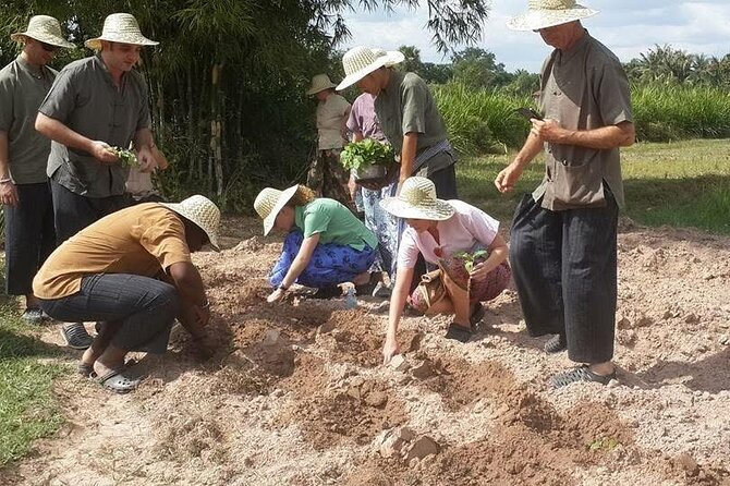 Full Day Siem Reap Farm Tour with Cooking Class and Monk Blessing - A Farm-to-Table Khmer Cooking Class