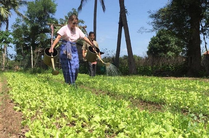 Full Day Siem Reap Farm Tour with Cooking Class and Monk Blessing - Meeting Farmers and Seeing Daily Work