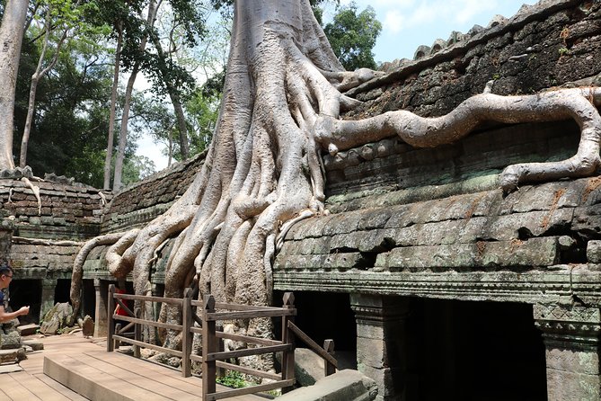 Full Day Temples Explorer - Small Group - Ta Prohm brings the jungle feeling
