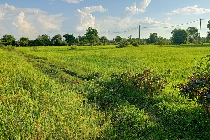 Full Day tour .City tour.Countryside.Bamboo Train.Secret Bat Cave - Why this Battambang day is worth considering