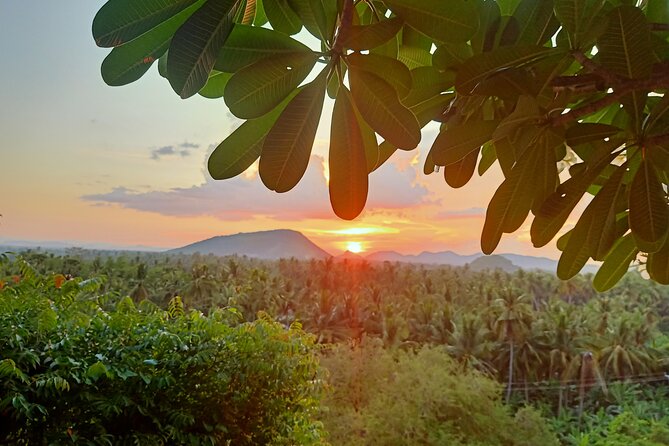 Full Day tour .City tour.Countryside.Bamboo Train.Secret Bat Cave - French-era Battambang in about one hour
