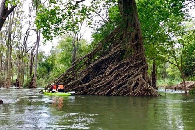 Full Day Tour from Siem Reap - Bamboo Train, Killing Cave & Sunset - Is $130 Per Person a Fair Price?