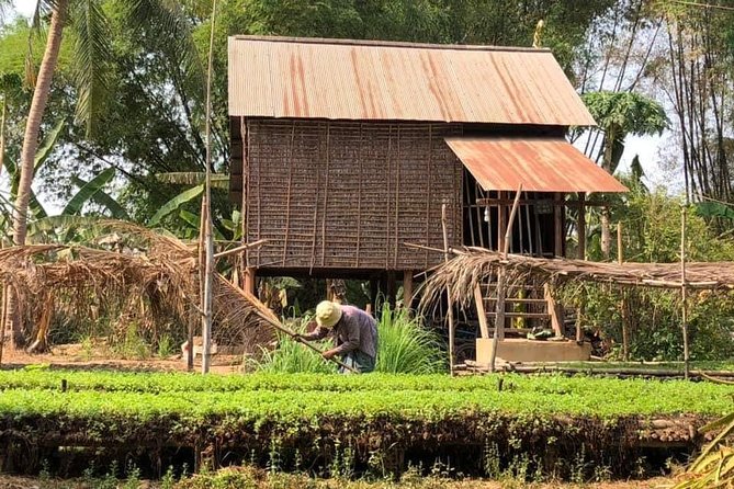 Full-day: Wat Banan. Old bamboo train. Bat Cave. Killing cave - Guides, bikes, and the day’s practical rhythm