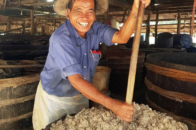 Grand Tour-Ek Phnom. Baset. Bamboo Train. Wat Banan. Phnom Sampov - Village food and the best human contact