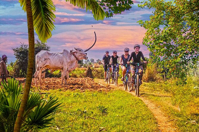 Grand Tour-Ek Phnom. Baset. Bamboo Train. Wat Banan. Phnom Sampov - Starting with Ta Dumbong Kro Aung in Battambang