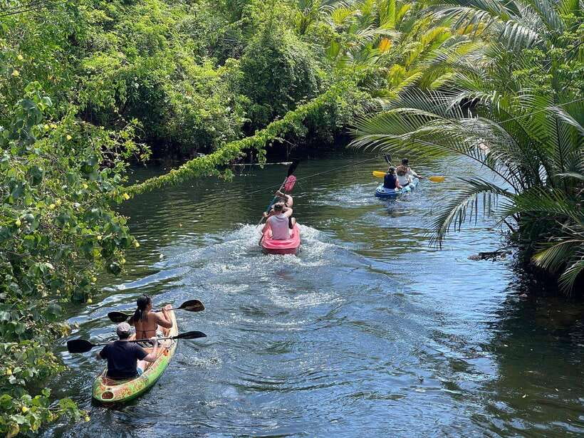 Green Cathedral Kayaking Journey & Reflection River View - Key points at a glance