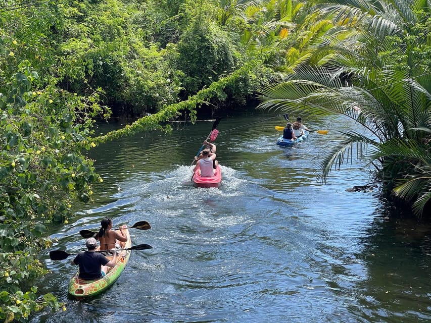 Green Cathedral Kayaking Journey & Reflection River View - Swimming, hammocks, and the slow part of the afternoon
