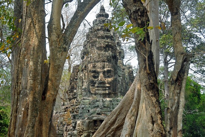 Guided Private Tuk Tuk Tour Angkor Wat and Small Circle and Five Extras - Banteay Kdei and Ta Prohm, two very different jungle temples