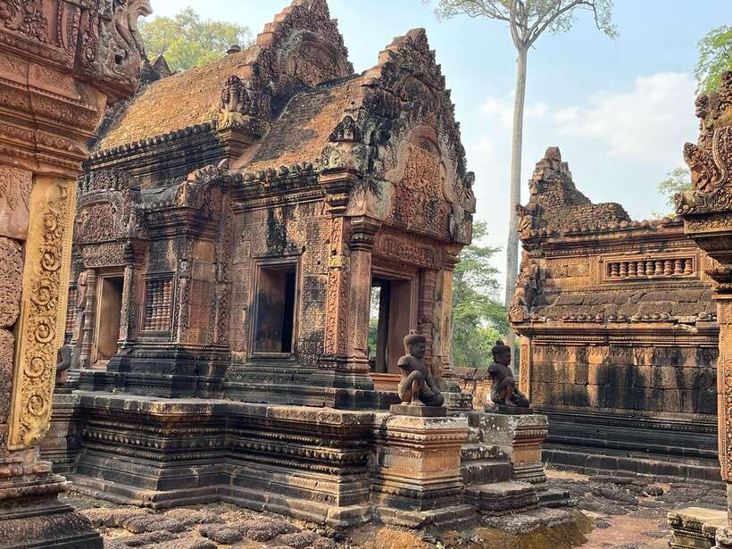 Guided Tour of Angkor Wat, Bayon, Ta Prohm, and Banteay Srei - Key points to know before booking