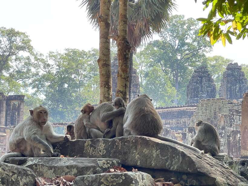 Guided Tour of Angkor Wat, Bayon, Ta Prohm, and Banteay Srei - The drive to Banteay Srei