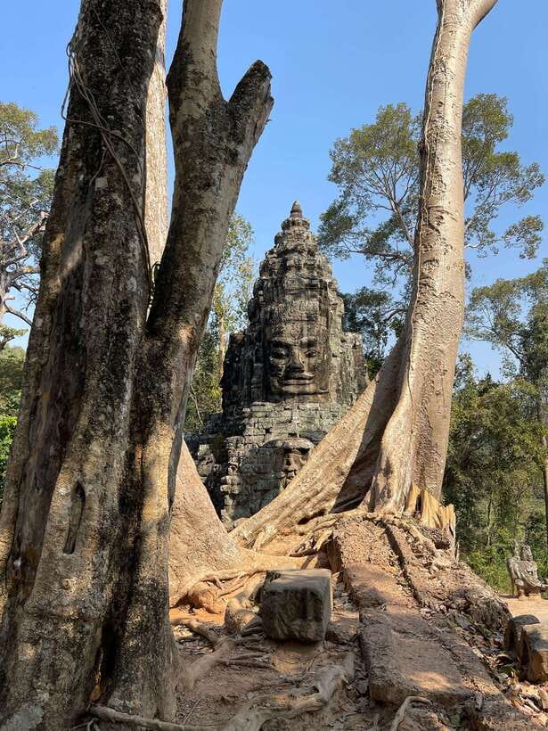 Guided Tour of Angkor Wat, Bayon, Ta Prohm, and Banteay Srei - Starting at Angkor Wat for 2.5 hours