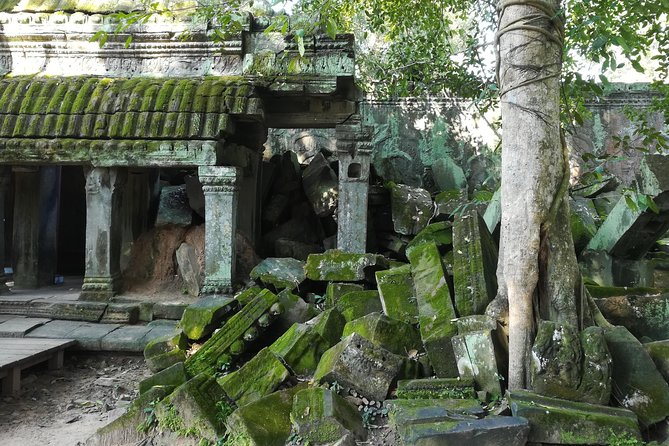 Half Day Angkor Wat Sunrise Private Tour - Leaving Siem Reap at 4:30 am