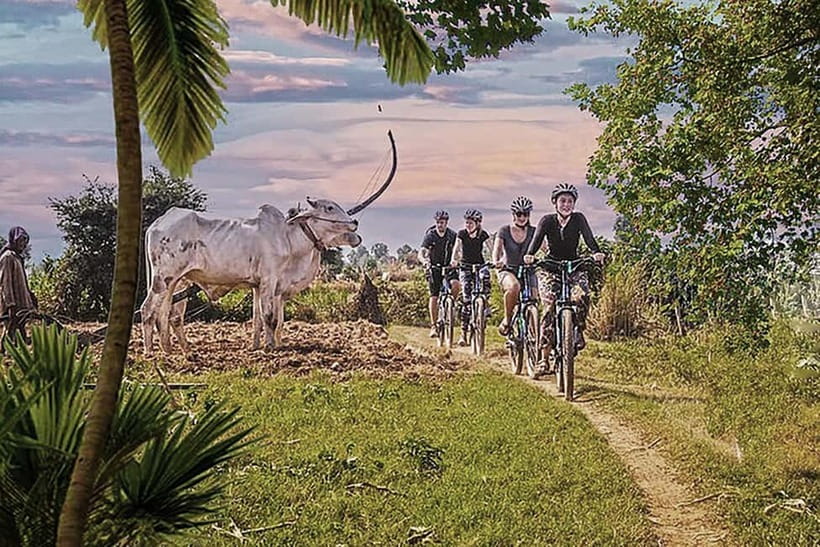 Half-Day Cycling to Discover Battambang's Rural Livelihoods - Why Battambang works so well by bicycle