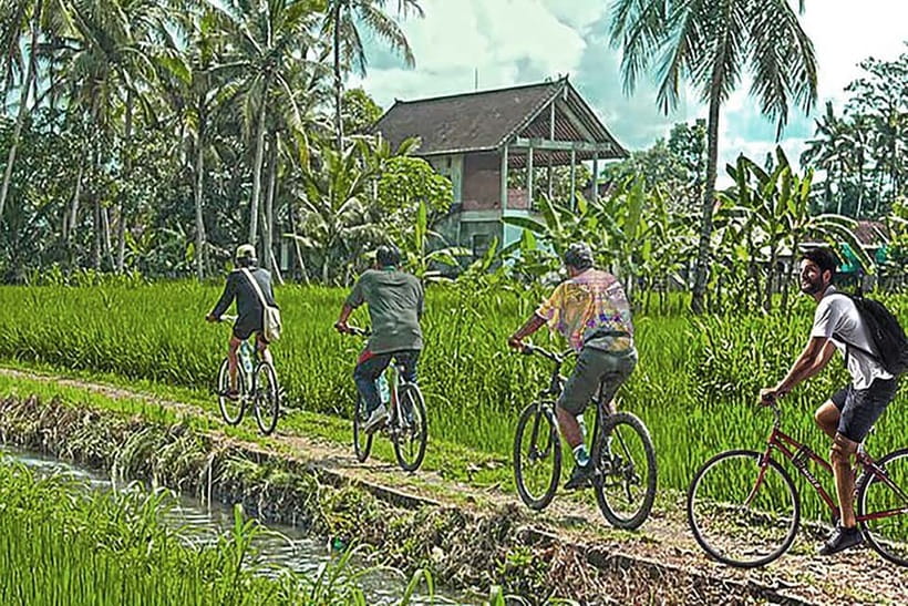 Half-Day Cycling to Discover Battambang's Rural Livelihoods - Rice wine and the local recipe