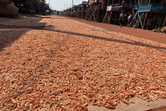 Half Day Floating Village (Kampong Phluk) & Tole Sap Lake Tour - Fishing, farming, and a seasonal way of life
