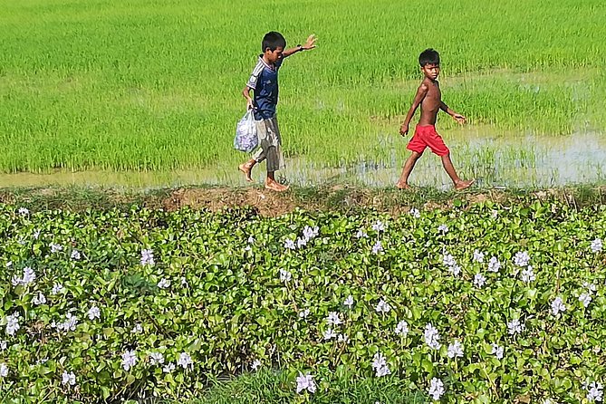 Half Day Floating Village ( Mechrey) & Tole Sap Tour - What makes the private format useful