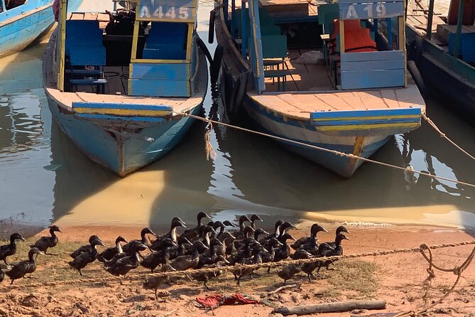 Half Day Floating Village ( Mechrey) & Tole Sap Tour - Is $65 per person good value?