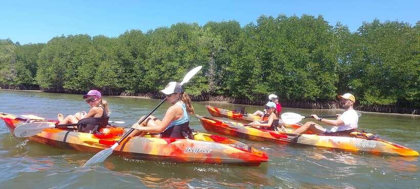 Half Day Kayak Guided Tour to the Green Mangroves Forest - Paddling through Kampot’s green mangroves
