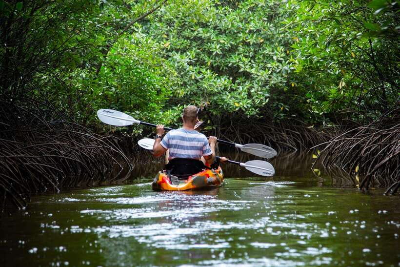 Half Day Kayak Guided Tour to the Green Mangroves Forest - Reaching the sea and sharing lunch
