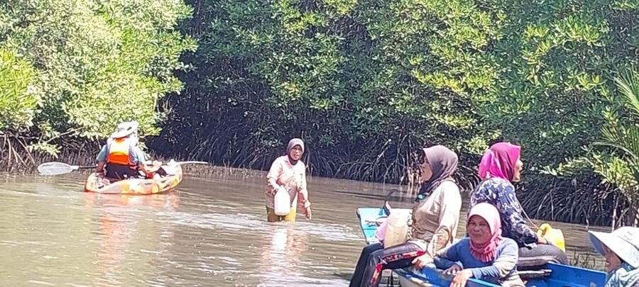 Half Day Kayak Guided Tour to the Green Mangroves Forest - The motorboat ride back upstream