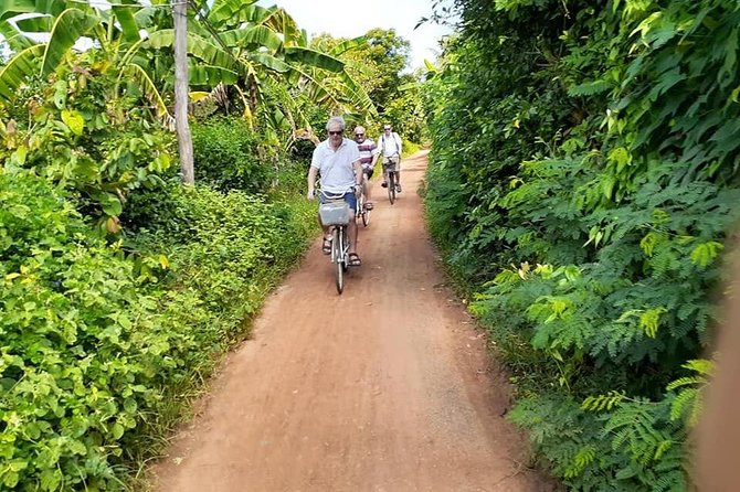 Half day morning bicycle tour to Explore local livelihood and test local snacks - Returning to Battambang by bicycle