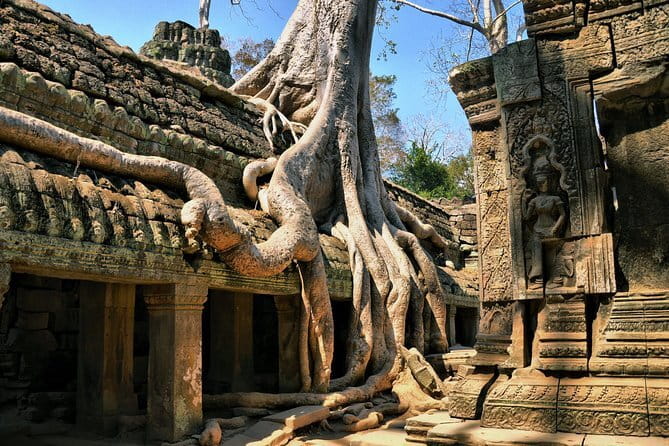 Half Day River Monster Tour with Private Guide in Siem Reap - Timing, transport, and cancellation details