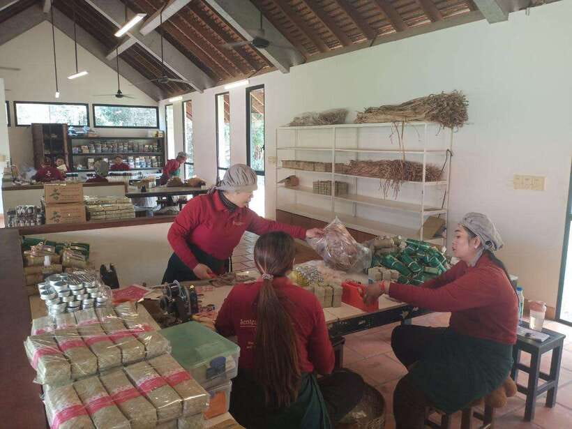 Half Day Trip: Silk Farm, Satcha, and Senteur d'Angkor Tour - Who should book this craft route?