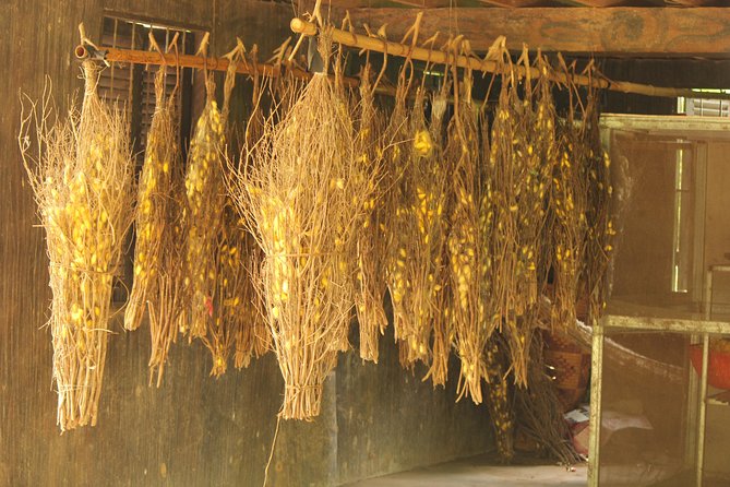 Island Community Life in Phnom Penh - Koh Dach Pagoda and the unusual Water Festival boats