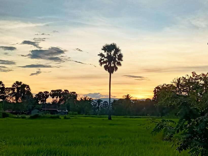 Kampot Countryside include Pepper farm,Kep crab market beach - Why this day works for curious visitors
