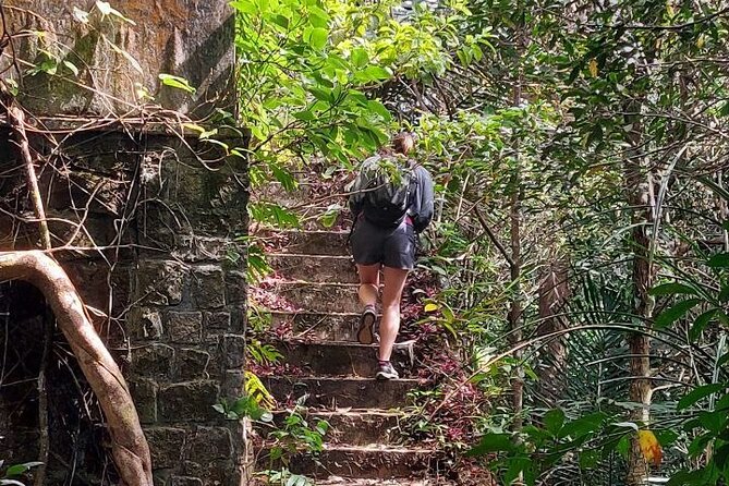 Kampot Day Tour "Bokor National Park" - Forest views, fog, and possible monkeys