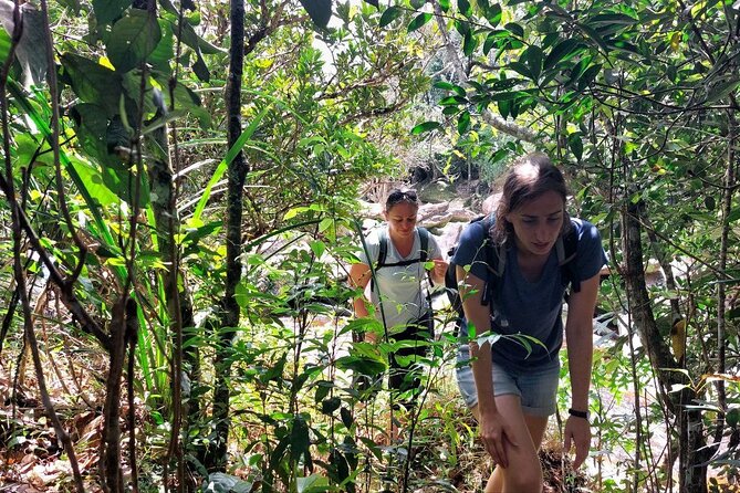 Kampot Day Tour "Bokor National Park" - How much history do you get?