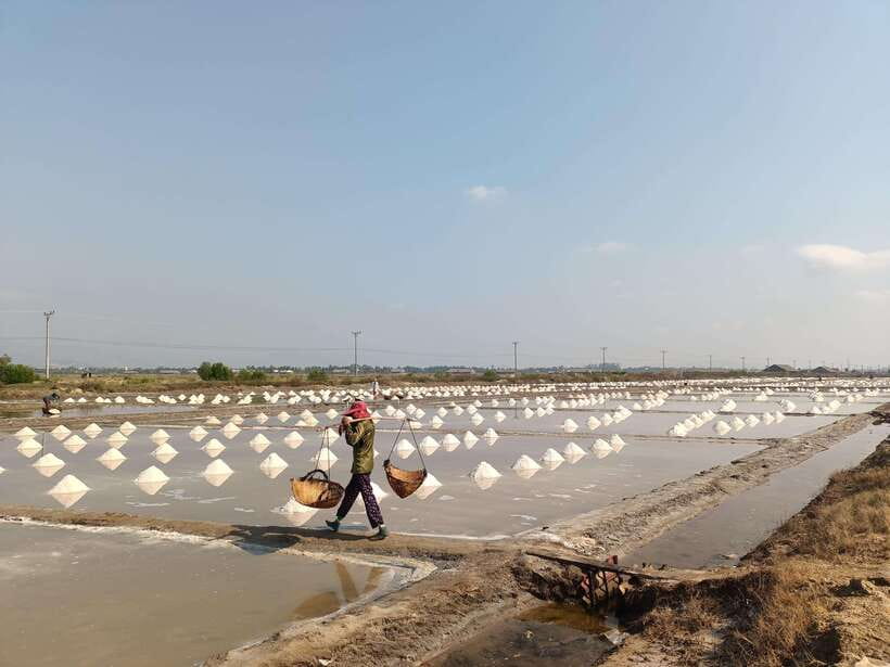 Kampot: Full-day Countryside Tour with Pepper Farm and Kep - What the $26 price really covers