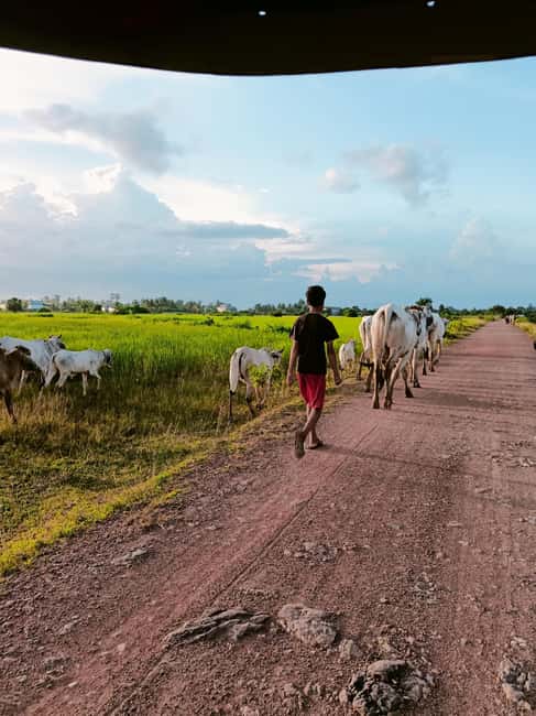 Kampot Pepper farm & Kayak trip around Green cathedral Sunse - Should you book the Kampot pepper and Green Cathedral trip?